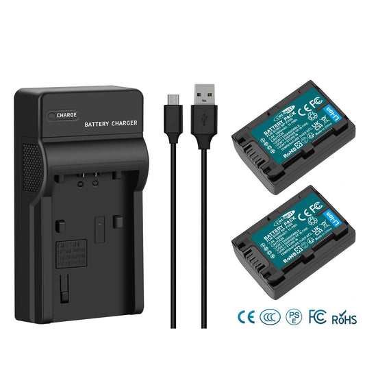 2x NP-FP50,NP-FP51 7.4V Accu+Oplader voor Sony NP-FH40 NP-FH50 NP-FH60 NP-FH70