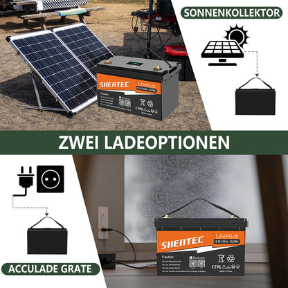 SHENTEC 12/24V 100/150/200/300Ah LiFePO4-accu met BMS voor zonneboot, off-grid RV