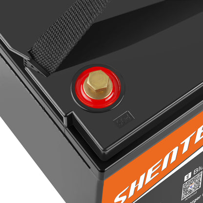 SHENTEC 12/24V 100/150/200/300Ah LiFePO4-accu met BMS voor zonneboot, off-grid RV