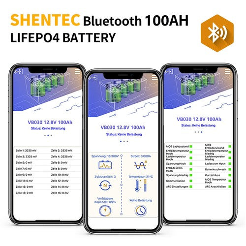 SHENTEC 12/24V 100/150/200/300Ah LiFePO4-accu met BMS voor zonneboot, off-grid RV