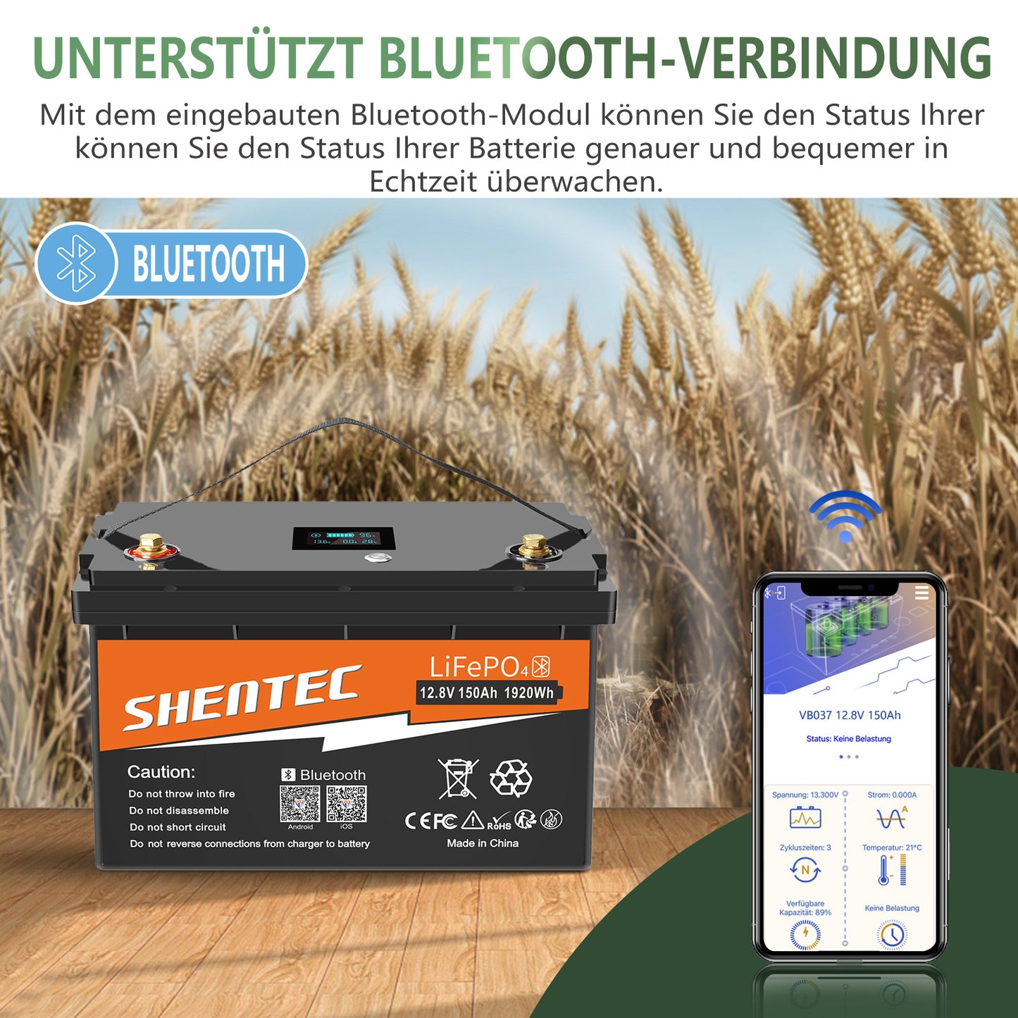 SHENTEC 12/24V 100/150/200/300Ah LiFePO4-accu met BMS voor zonneboot, off-grid RV