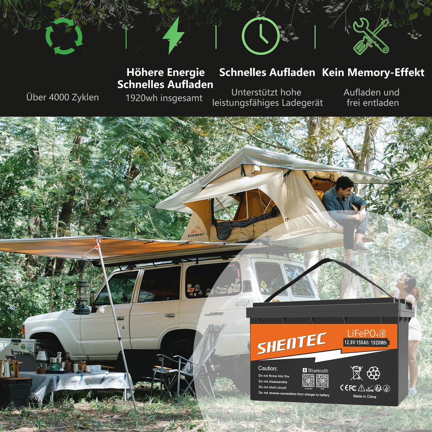 SHENTEC 12/24V 100/150/200/300Ah LiFePO4-accu met BMS voor zonneboot, off-grid RV