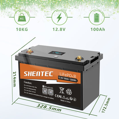 SHENTEC 12/24V 100/150/200/300Ah LiFePO4-accu met BMS voor zonneboot, off-grid RV