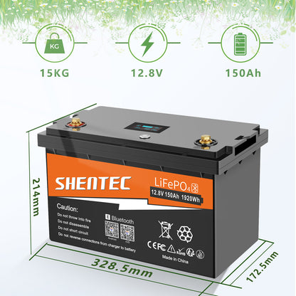 SHENTEC 12/24V 100/150/200/300Ah LiFePO4-accu met BMS voor zonneboot, off-grid RV
